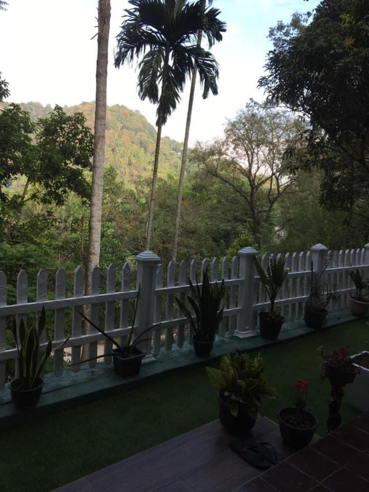 Villa25 Homestay Free Pick Up From The Centre แคนดี้ ภายนอก รูปภาพ