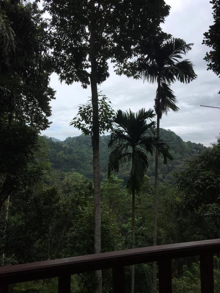 Villa25 Homestay Free Pick Up From The Centre แคนดี้ ภายนอก รูปภาพ